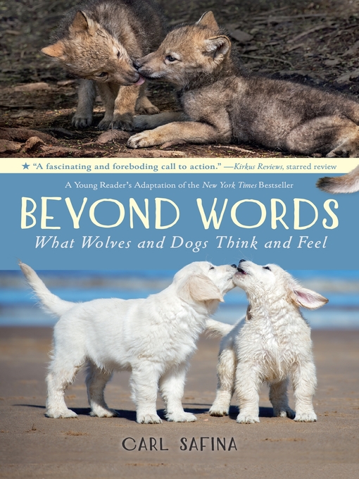 Cover image for Beyond Words